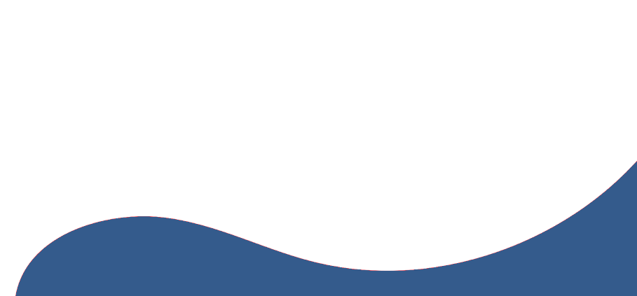 vector_bottom_gallerry